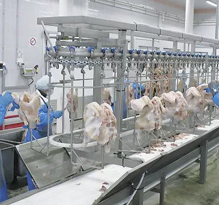 2_цех-по-переработке-индейки